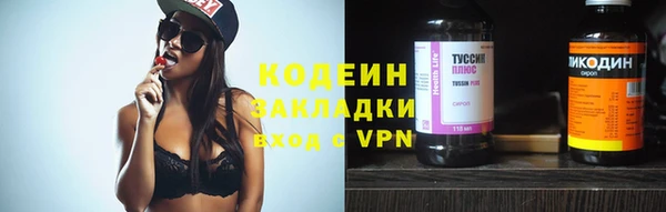 ГАЛЛЮЦИНОГЕННЫЕ ГРИБЫ Арсеньев