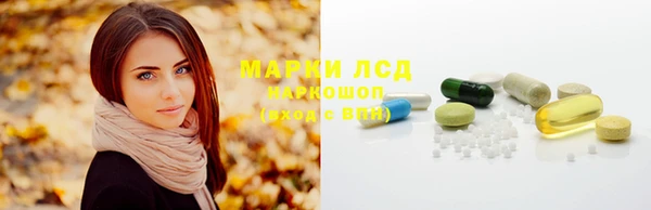 ГАЛЛЮЦИНОГЕННЫЕ ГРИБЫ Арсеньев
