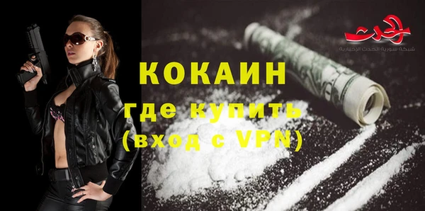 ГАЛЛЮЦИНОГЕННЫЕ ГРИБЫ Арсеньев